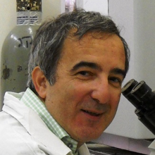 Prof Shai Izraeli